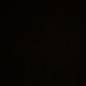 Meet your Posher, Isabella